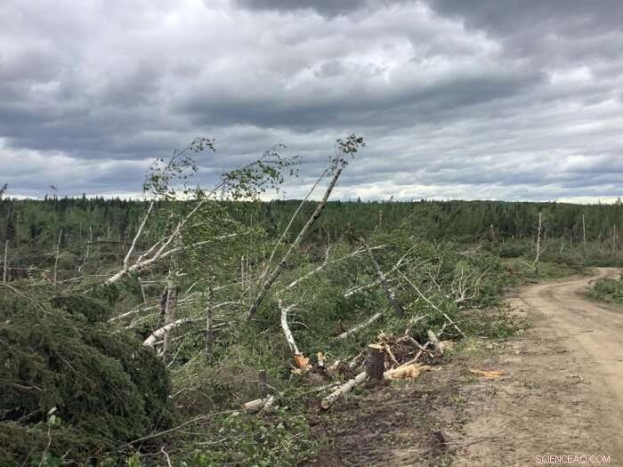 Northern Tornadoes Project Identifies 15 Tornadoes that Hit Canadian Prairies on Canada Day