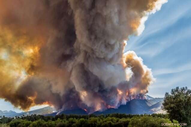 Predicting Wildfires in the Western U.S. with Big Data and AI