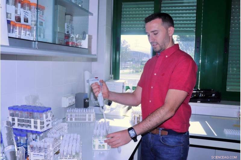 New Breakthrough Method Enhances Accuracy in Estimating Nitrogen Fertilizer Emissions