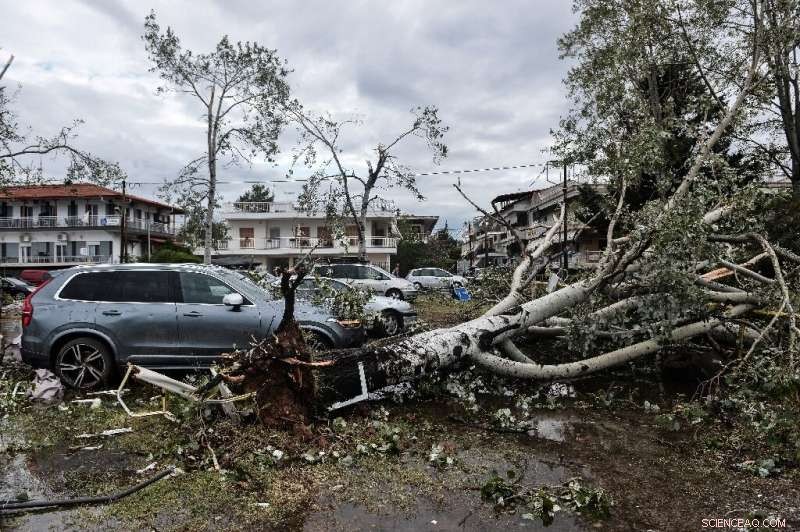 Fatal Storm Strikes Greek Beachfront, Killing Six