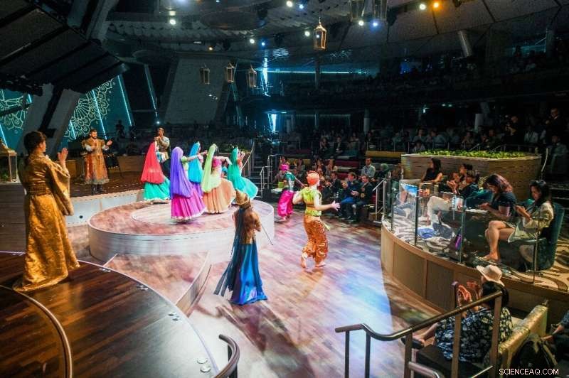 Cruise Industry Surge Driven by Chinese Travelers Raises Environmental Concerns