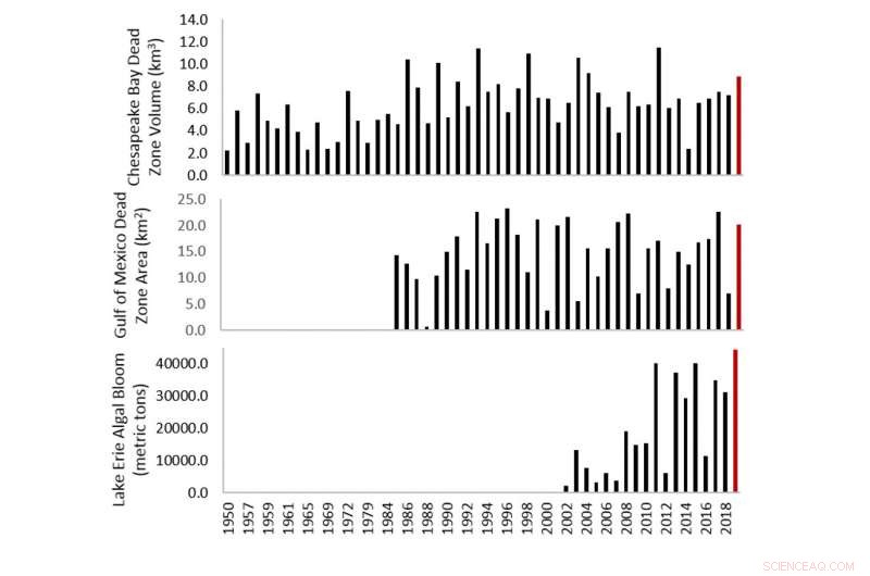 Your Diet’s Hidden Role in Lake and Bay Dead Zones: Understanding Nutrient Pollution