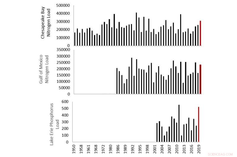 Your Diet’s Hidden Role in Lake and Bay Dead Zones: Understanding Nutrient Pollution