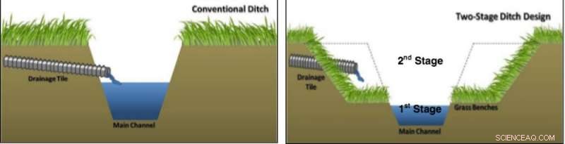 Your Diet’s Hidden Role in Lake and Bay Dead Zones: Understanding Nutrient Pollution