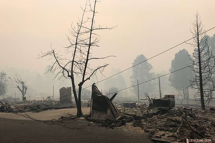 Excess Fuel Levels Pose Risk of a Devastating Wildfire Season