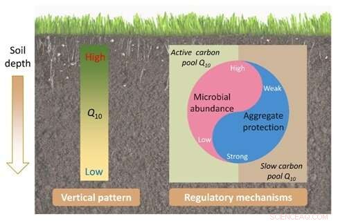Researchers Uncover Key Mechanisms Controlling Temperature Sensitivity of Soil Organic Matter Decomposition