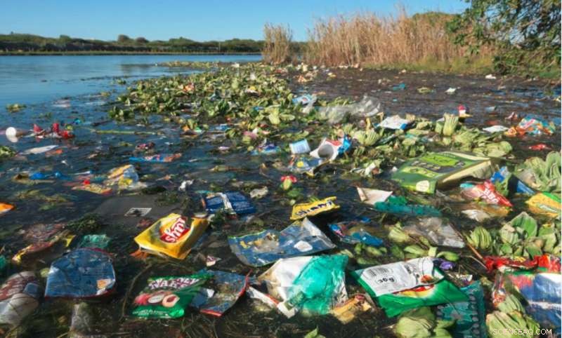 Is Plastic’s Environmental Threat Overstated? A Critical Review