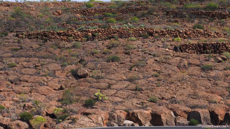 How Landscape Shapes Small Pyroclastic Flow Events: New Study Illuminates Emplacement Dynamics