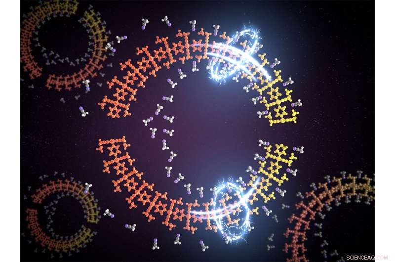 Advanced Reversible Electro‑Optical Detector for Accurate Environmental Pollutant Monitoring