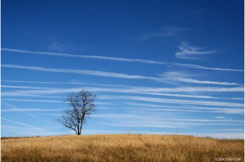 Study Reveals Warming Climate Intensifies Summer Droughts and Heatwaves Across the US South and Southwest