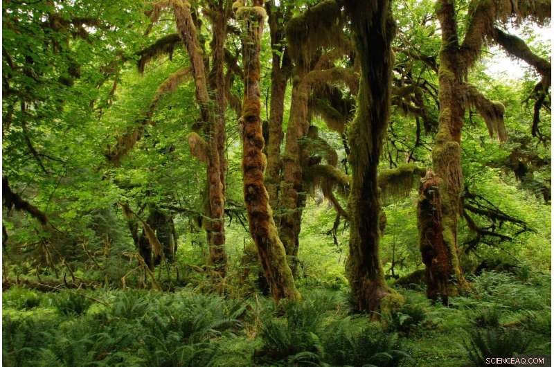 Environmentalists Push Cargill to Halt Brazil s Forest-to-Farm Expansion