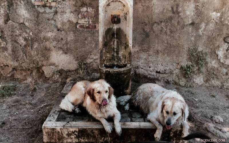 Europe s Farmlands and Wildlife Plunge into Drought After Record Heatwave