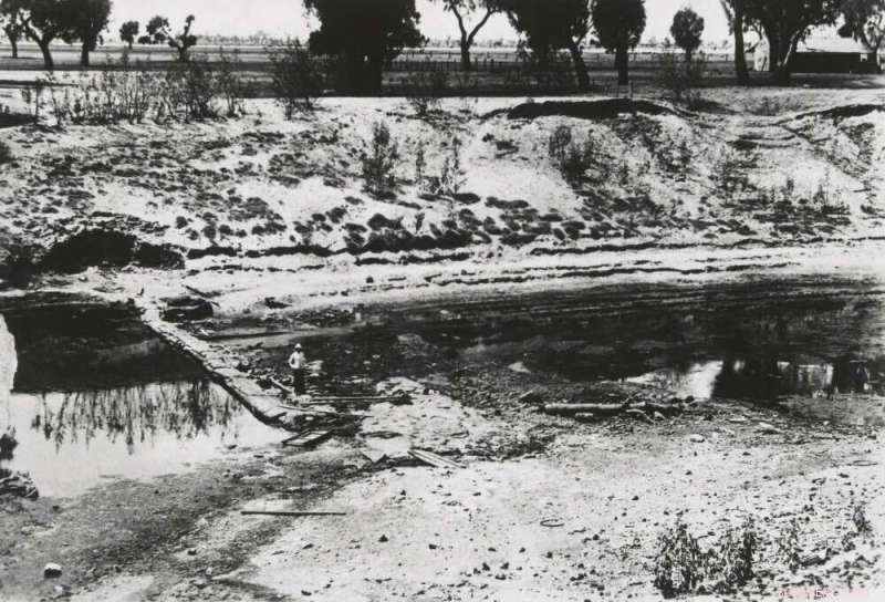 Mega‑Drought Triggers Significant Biodiversity Loss