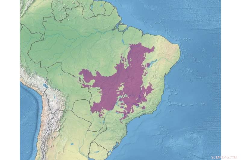 Safeguarding the Hidden Biodiversity Riches of the Cerrado