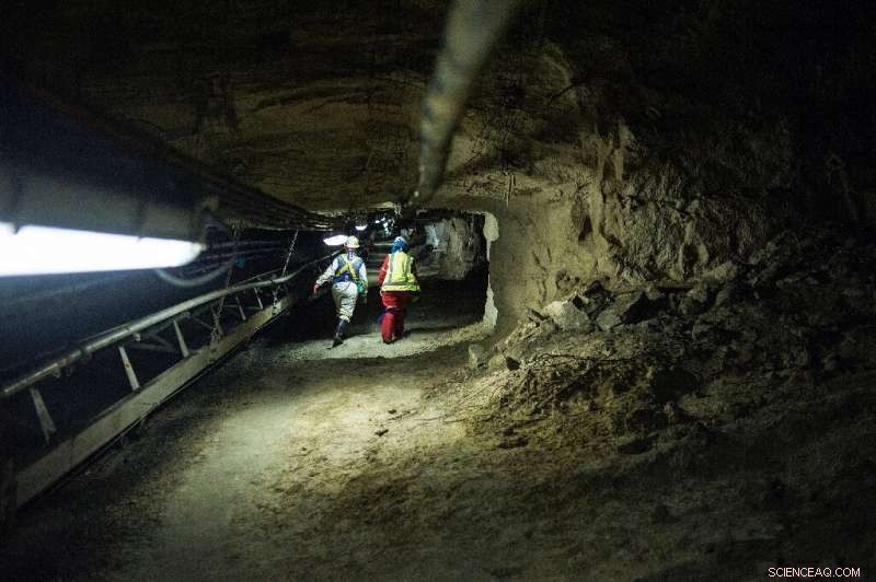 South Africa s Carbon Tax Sparks Debate Between Industry and Environmental Advocates