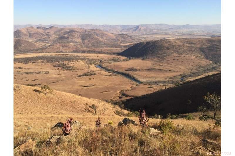 Scientists Uncover How and When Earth s Subterranean Ocean Formed