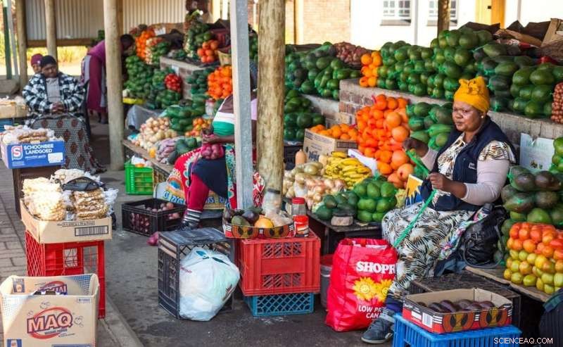 South Africa s Carbon Tax: Economic Impacts and Climate Change Mitigation