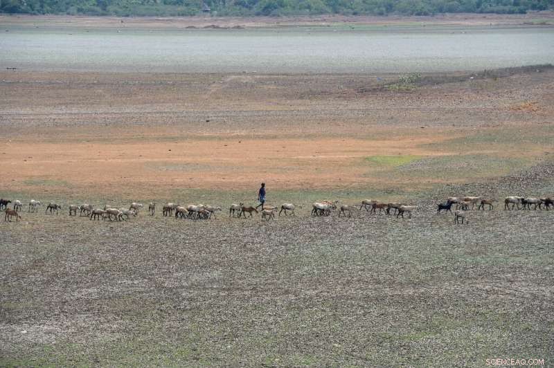 India s Monsoon Forecast Plunges Below Normal, Heightening Water Crisis