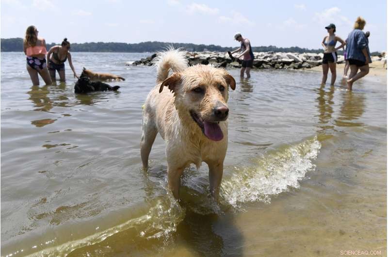 East Coast Battles Intense Heat and Humidity; Midwest Finds a Breather