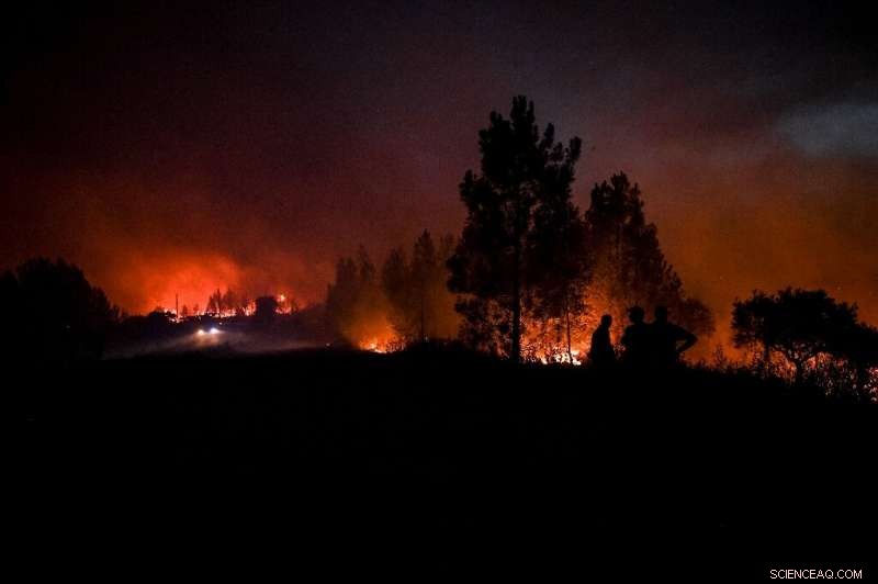 Portugal Wildfires Intensify as Winds Surge – Firefighters Battle Destructive Blaze