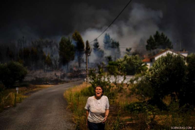 Portugal Wildfires Intensify as Winds Surge – Firefighters Battle Destructive Blaze