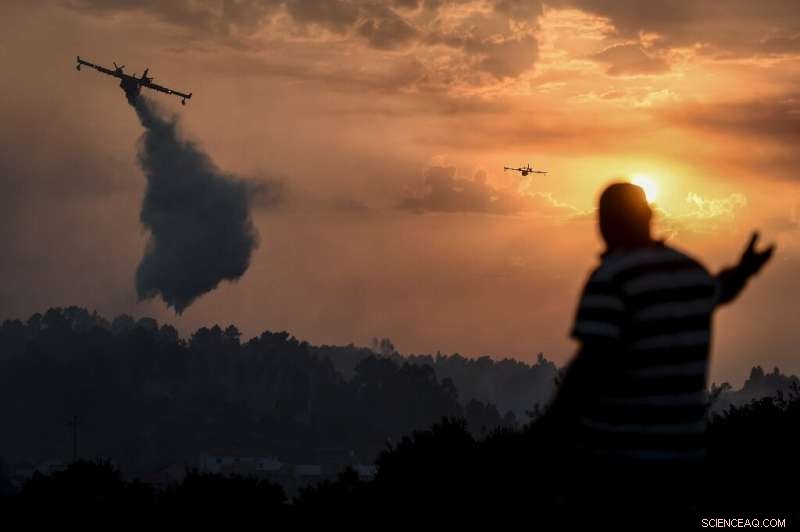 Portugal Firefighters Contain Central Region Wildfires with Overnight Rain