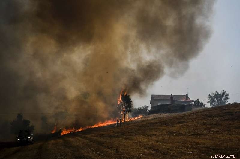 Portugal Firefighters Contain Central Region Wildfires with Overnight Rain