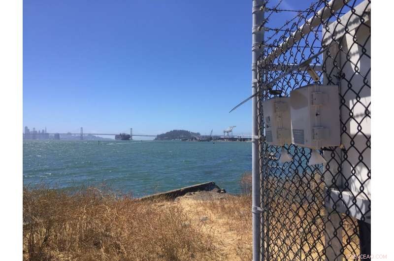 High-Resolution Sensor Network Uncovers Neighborhood Air Quality Trends