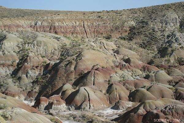 New Research Reveals How Soils Respond to Climate Change