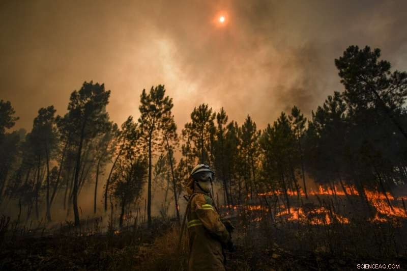 Portugal s Rising Wildfire Threat: Causes, Challenges, and Climate Impact