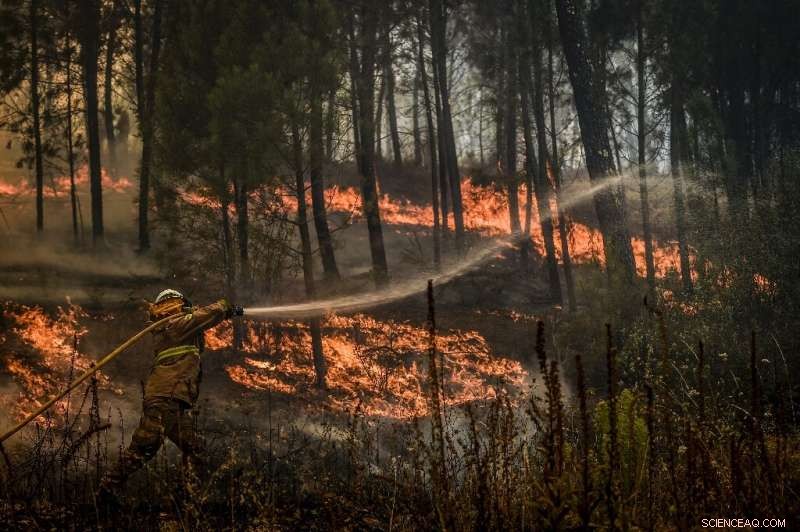 Portugal s Rising Wildfire Threat: Causes, Challenges, and Climate Impact