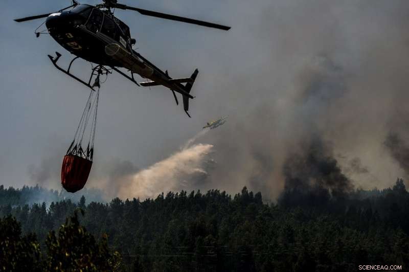 Portugal s Rising Wildfire Threat: Causes, Challenges, and Climate Impact