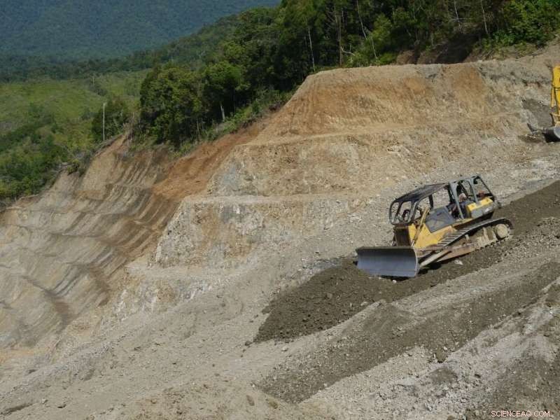 Papua New Guinea s Rapid Road Expansion Threatens Rich Forests, Communities, and Economy