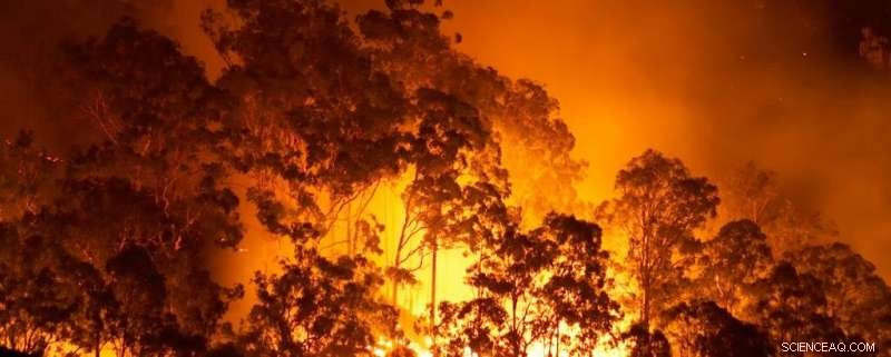 ANSTO’s MABI Instrument Accurately Measures Black Carbon Levels and Sources in the Atmosphere