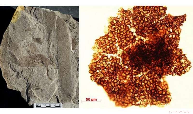 Revisiting Earth’s Boring Billion: Dynamic Oceans Hidden in the Past