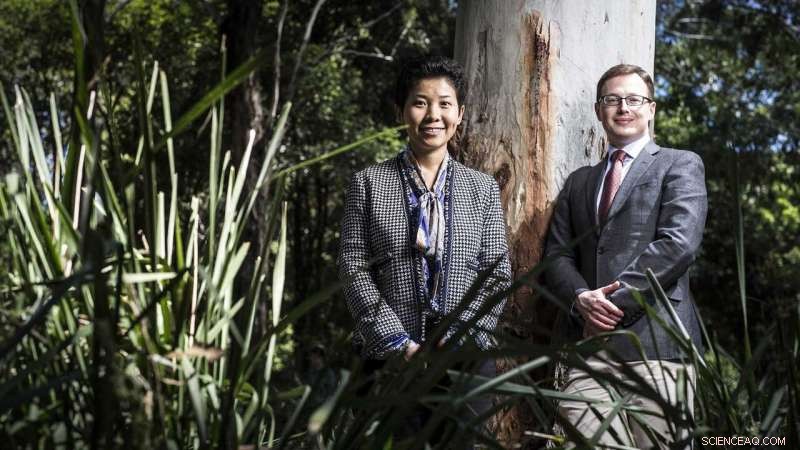 Studies Show Urban Trees Significantly Enhance Mental and Overall Health