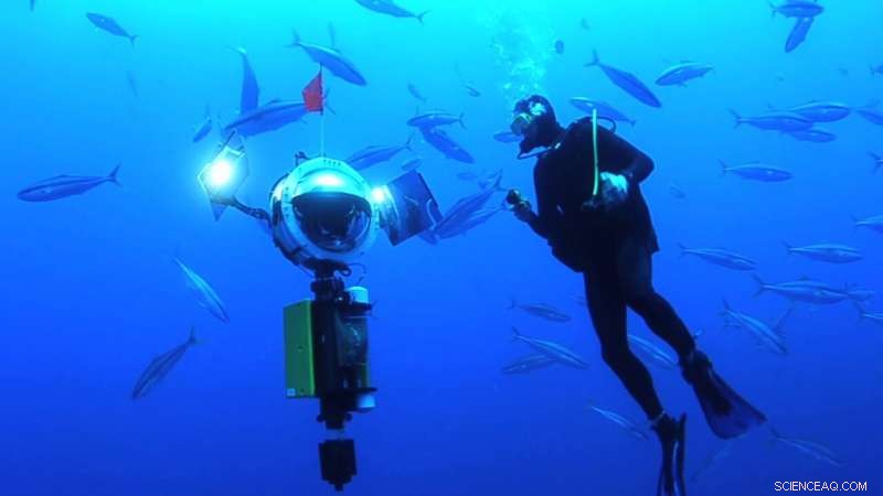 Scientists Deploy Cutting-Edge Tech to Unveil Gulf of Mexico’s Deep Secrets