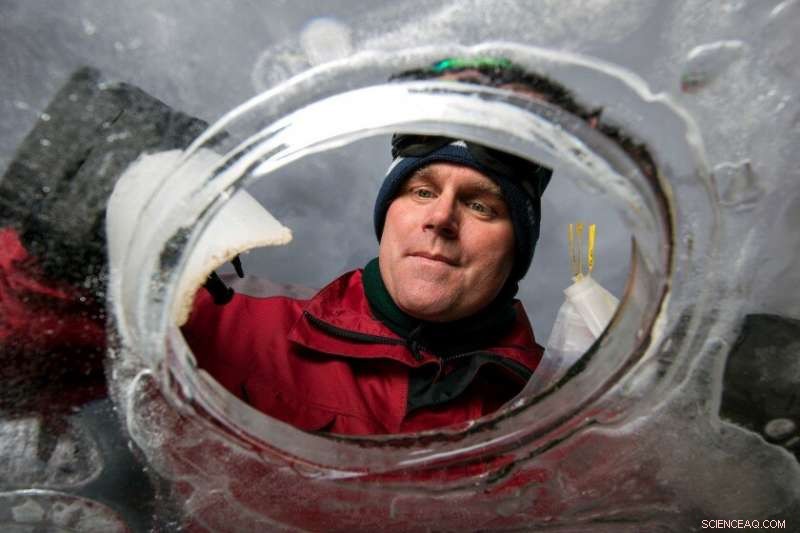 Nematodes and Climate Change: Insights from Leading Research