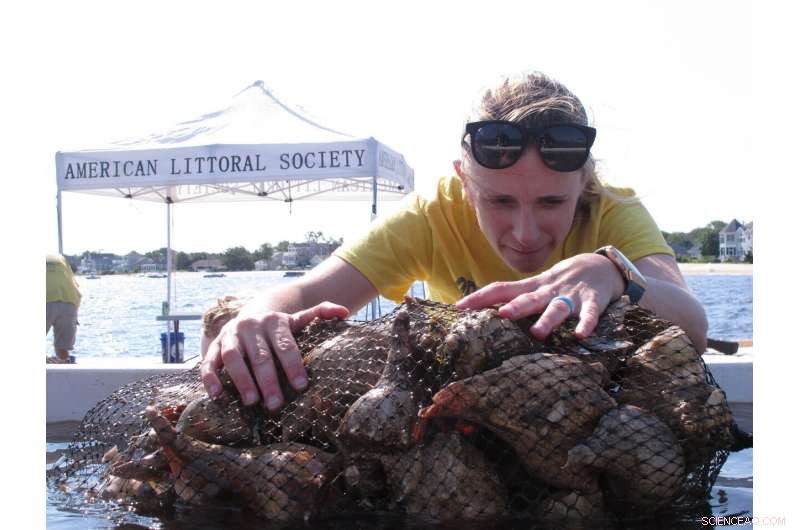 Oyster Seeding: A Proven Physical Solution to Restore Water Quality