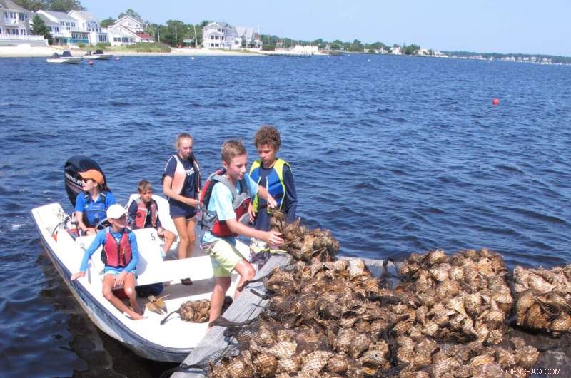 Oyster Seeding: A Proven Physical Solution to Restore Water Quality