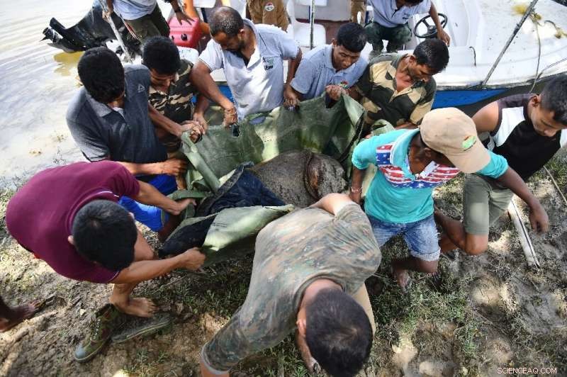 Kaziranga Park Battles Floods: Urgent Wildlife Rescue Mission