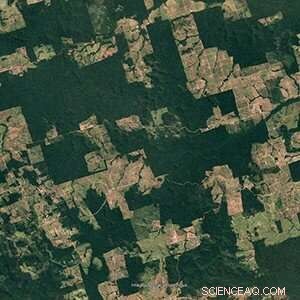 Refined Amazon Forest Maps Reveal Accurate Gains and Losses, 2000-2017