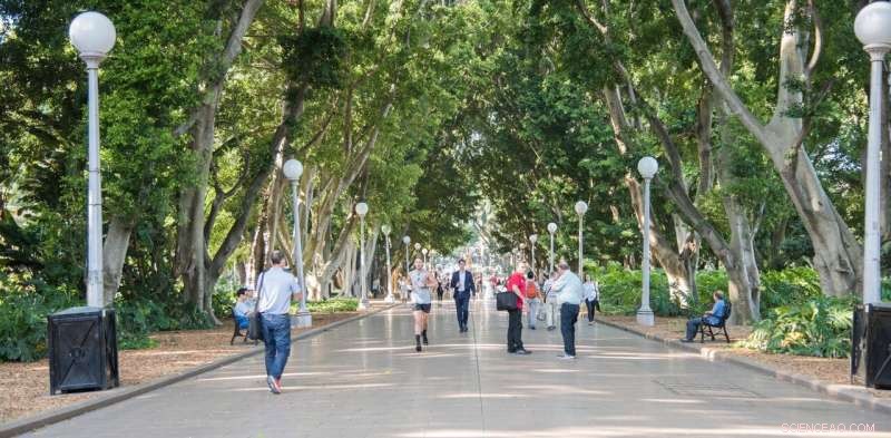 Tree Canopy Expansion: A Proven Superfood for Community Mental Health