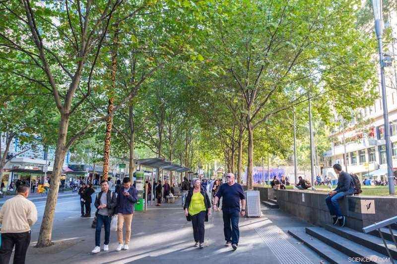 Tree Canopy Expansion: A Proven Superfood for Community Mental Health