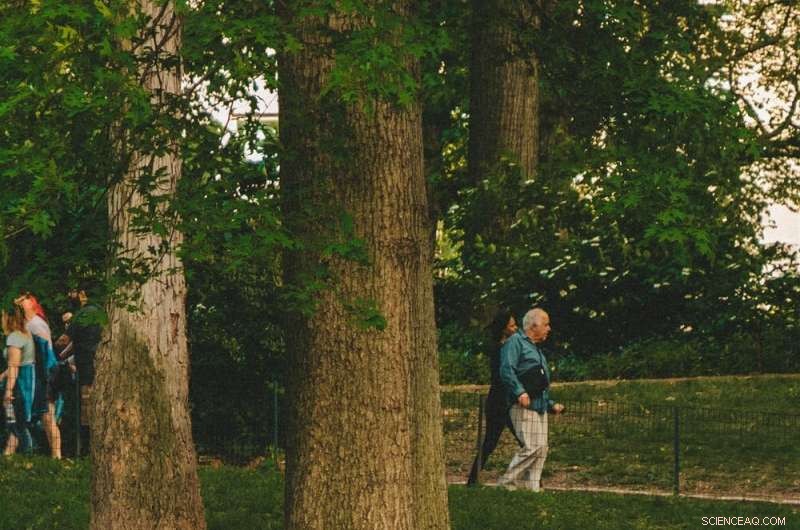 Tree Canopy Expansion: A Proven Superfood for Community Mental Health