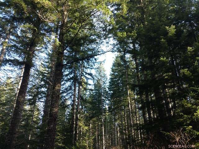 Climate Models Predict West Coast Landowners Will Shift Away from Douglas‑Fir Planting