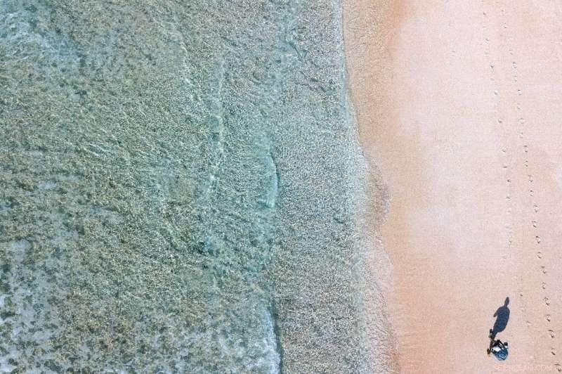 Plastic Waste Sparks Disaster on Remote Pacific Island