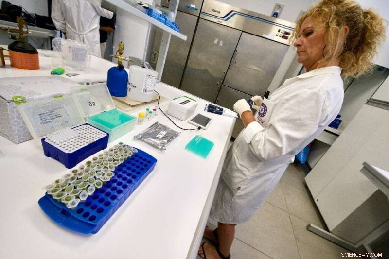 Italy Gains New Hope in Battle Against Olive Tree Xylella Disease