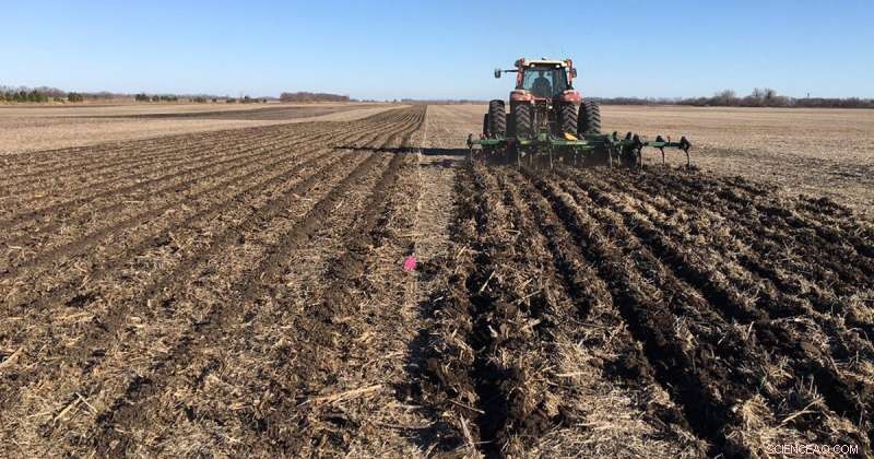 Unveiling the Real Benefits of Conservation Tillage
