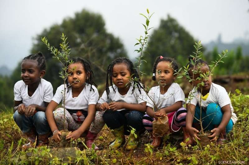Ethiopia Launches Ambitious Plan to Plant 4 Billion Trees for a Greener Future
